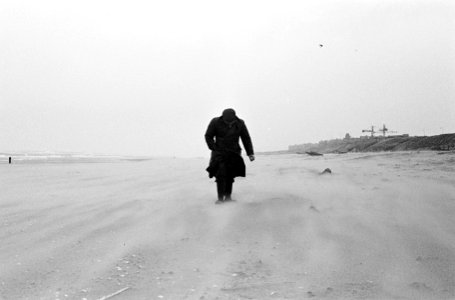 Windkracht 9. Op Zandvoortse strand verschenen de strandjutters, Bestanddeelnr 915-7532
