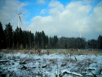Windpark-Klosterkumbd05