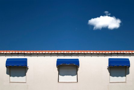Windows (220818079)