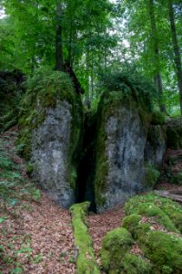 Windloch bei Sackdilling (A 41) 017