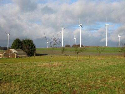 Windpark-Horn01