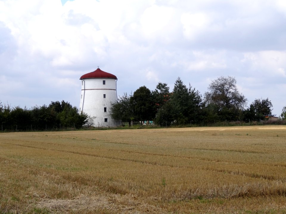 Windmühle in Oberreißen 1