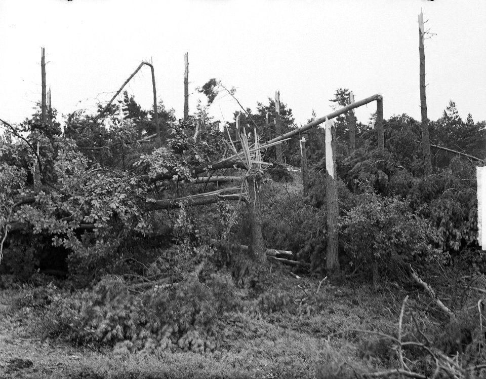 Windhoos op de veluwe, Bestanddeelnr 904-1489
