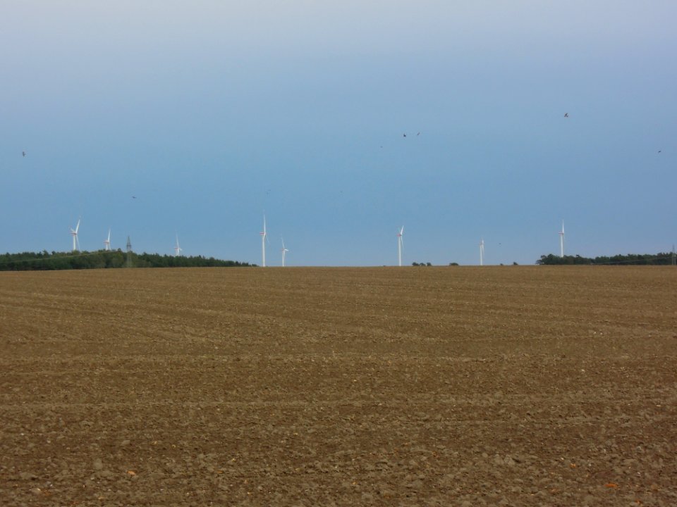 Windpark bei Zahna-Elster OT Gadegast seit September 2016