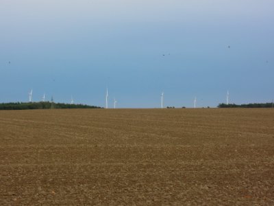 Windpark bei Zahna-Elster OT Gadegast seit September 2016