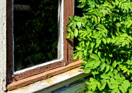 Window with peeling paint on a shed in Brodalen