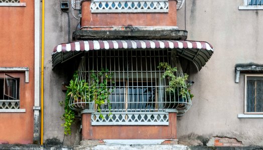 Window on Caracas