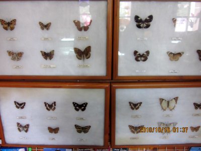 Window of the World 18