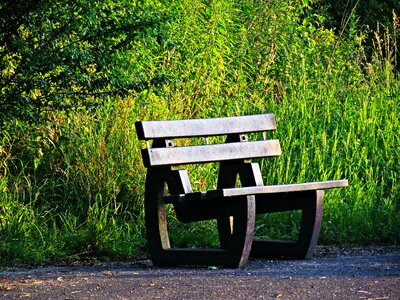 Rest tree relaxation photo