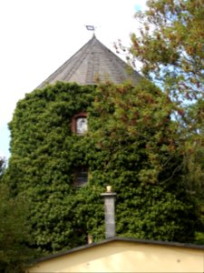 Windmill Zeulenroda, Thuringia 3