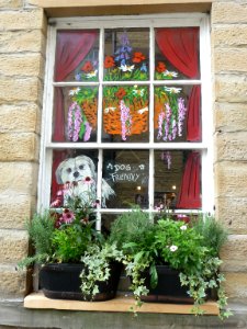 Windows in Skipton 04