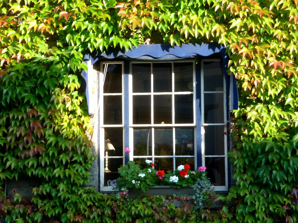 Windows in Hay-on-Wye 09