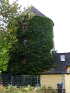Windmill Zeulenroda, Thuringia 7