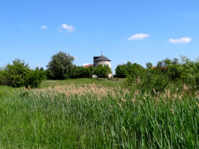 Windmill Windeberg 09