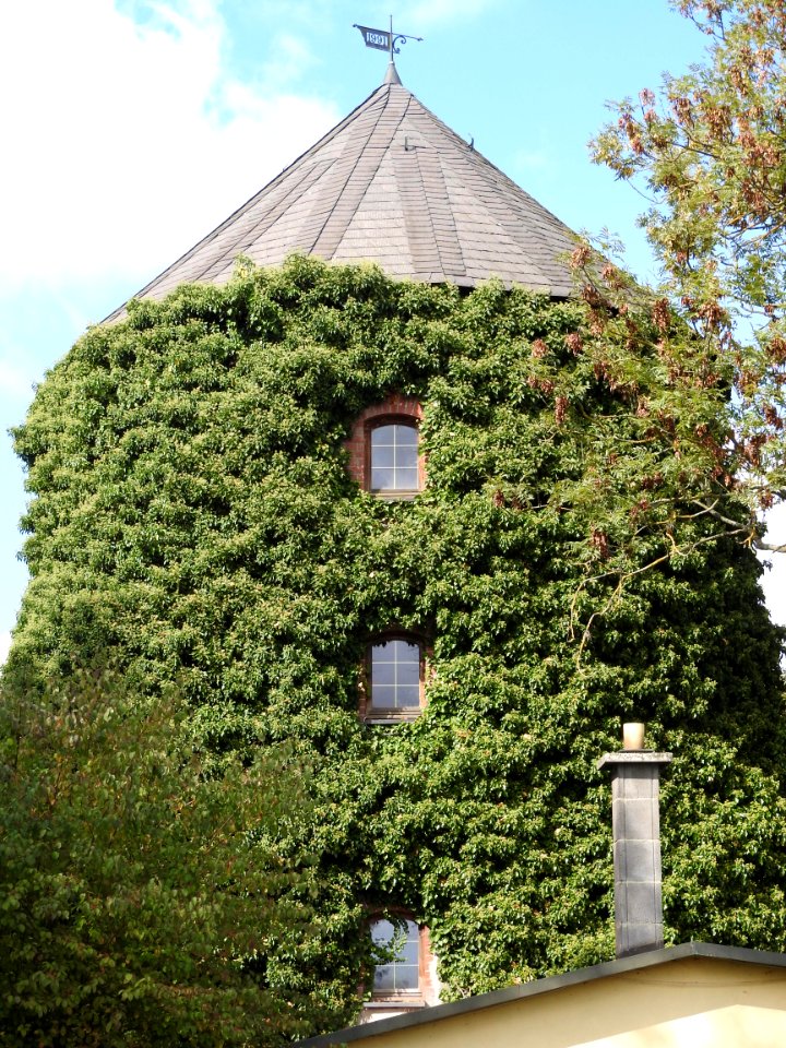 Windmill Zeulenroda, Thuringia 5