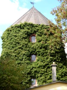 Windmill Zeulenroda, Thuringia 5