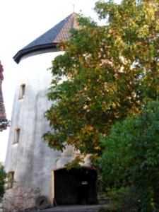 Windmill Triptis 2