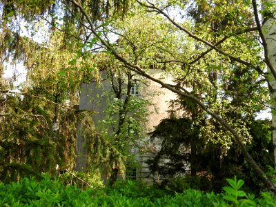 Windmill Rüdersdorf, Kraftsdorf 5