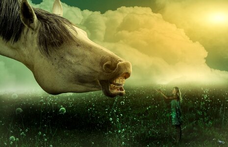 Grass heaven pasture