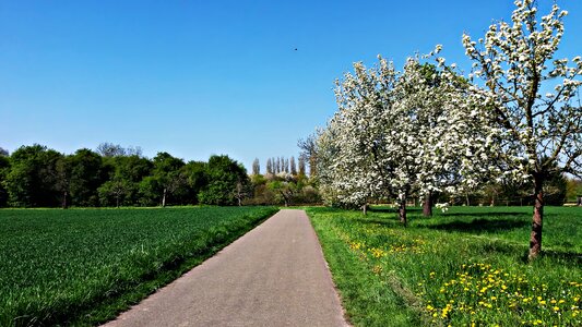 Way nature landscape