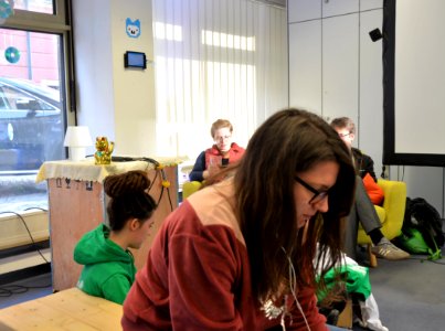 Wikidata Workshop Ulm 2019 33