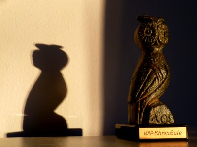 WikiEule im Licht (4)