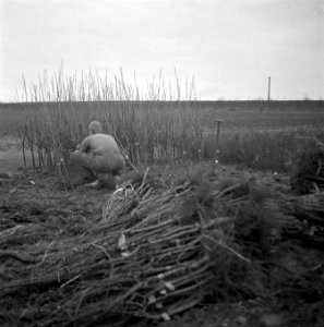 Wieringermeerpolder, Bestanddeelnr 901-2300