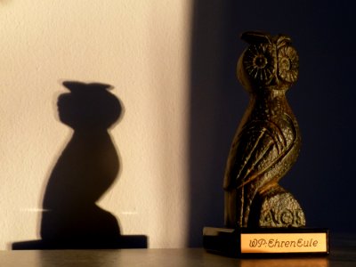 WikiEule im Licht (2)