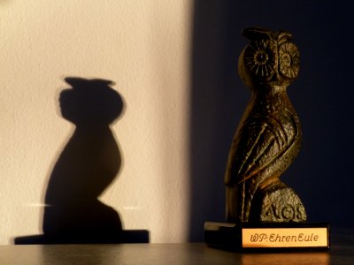 WikiEule im Licht (3)