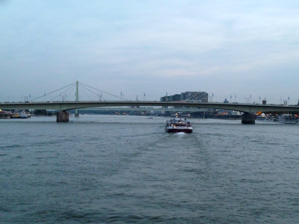 WikiCon 2014-Köln gesehen vom Rhein (4)