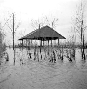 Wieringermeerpolder, Bestanddeelnr 901-2269