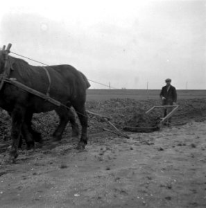 Wieringermeerpolder, Bestanddeelnr 901-2260