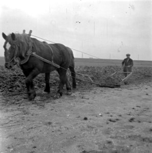 Wieringermeerpolder, Bestanddeelnr 901-2262