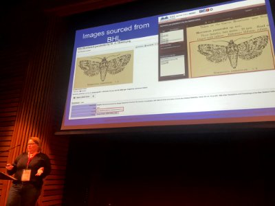 WikiCite 2018 DT - 45