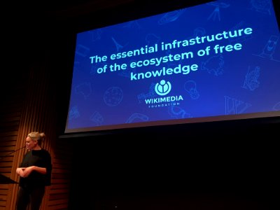 WikiCite 2018 DT - 74