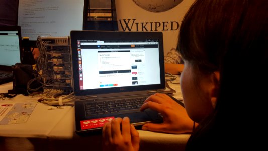 Wikimedia stand FOSDEM 2016 (27)
