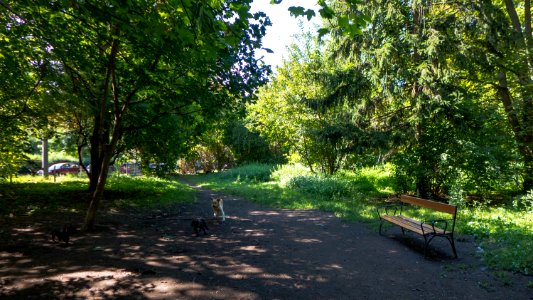 Wien 23 Herbert-Mayr-Park b