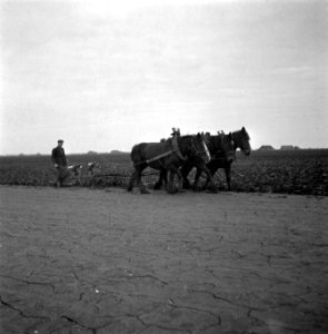 Wieringermeerpolder, Bestanddeelnr 901-2302