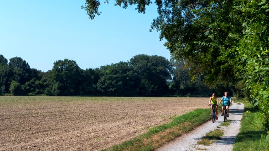 Wien 22 Lobau c