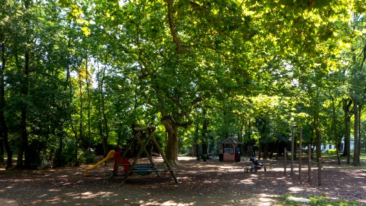 Wien 23 Ölzeltpark e