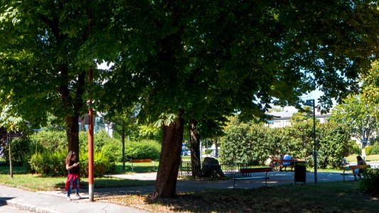 Wien 23 Dr.-Rudolf-Hatschek-Park d