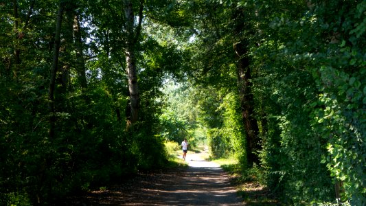 Wien 22 Lobau d