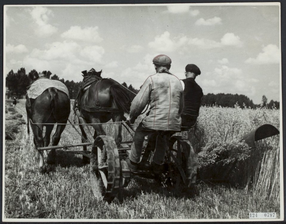 Wieringermeer, landbouw, Bestanddeelnr 124-0787
