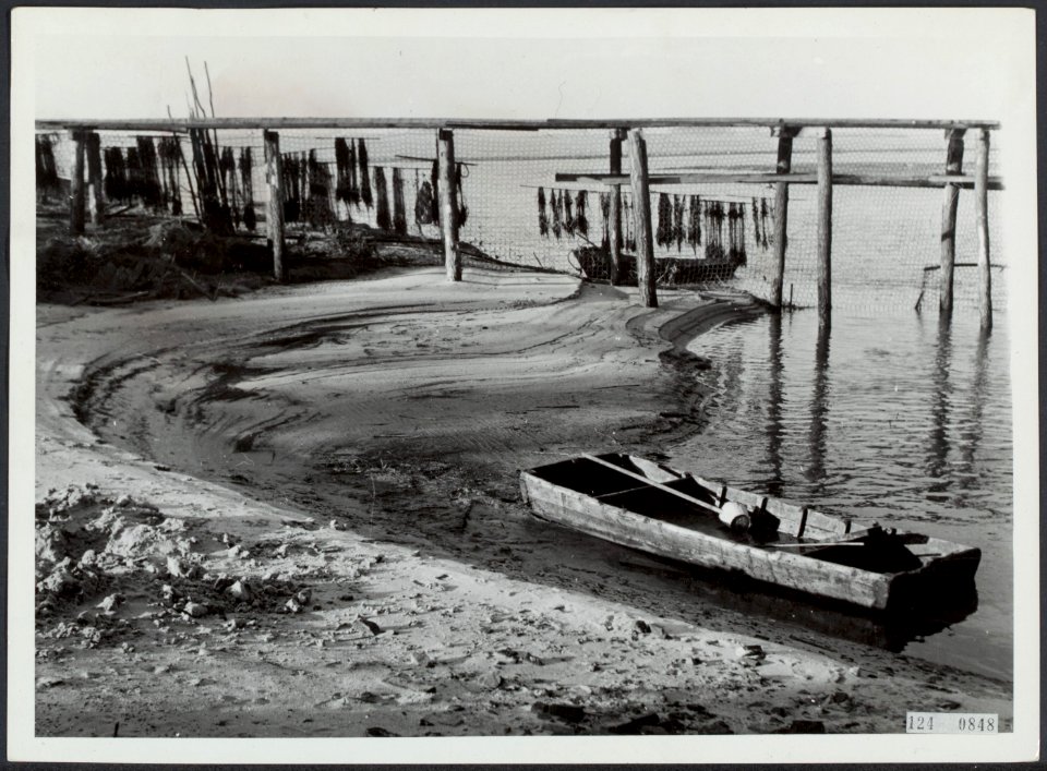 Wieringermeer, inundatie en wederopbouw, Bestanddeelnr 124-0848