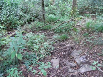 Wiesbach Zufluss von Tor 9 vor Teichen R0016956