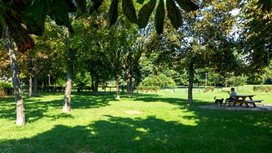 Wien 22 Otto-Affenzeller-Park a