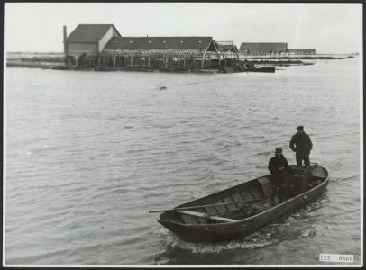 Wieringermeer, inundatie en wederopbouw, Bestanddeelnr 124-0860