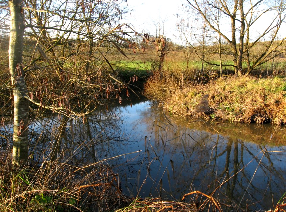 Wiesenmäander der Bühler E Untersontheim