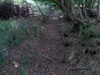 Wiesbach trockener Grenz-Graben von Süd R0016449