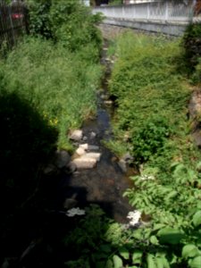 Wiesbach unter Hauptstraße Kransberg R0014813